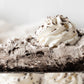 Oreo Cream Pie- Exclusive
