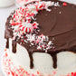 Chocolate Peppermint Cake- Exclusive