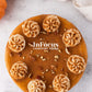 Pumpkin Cheesecake- Exclusive