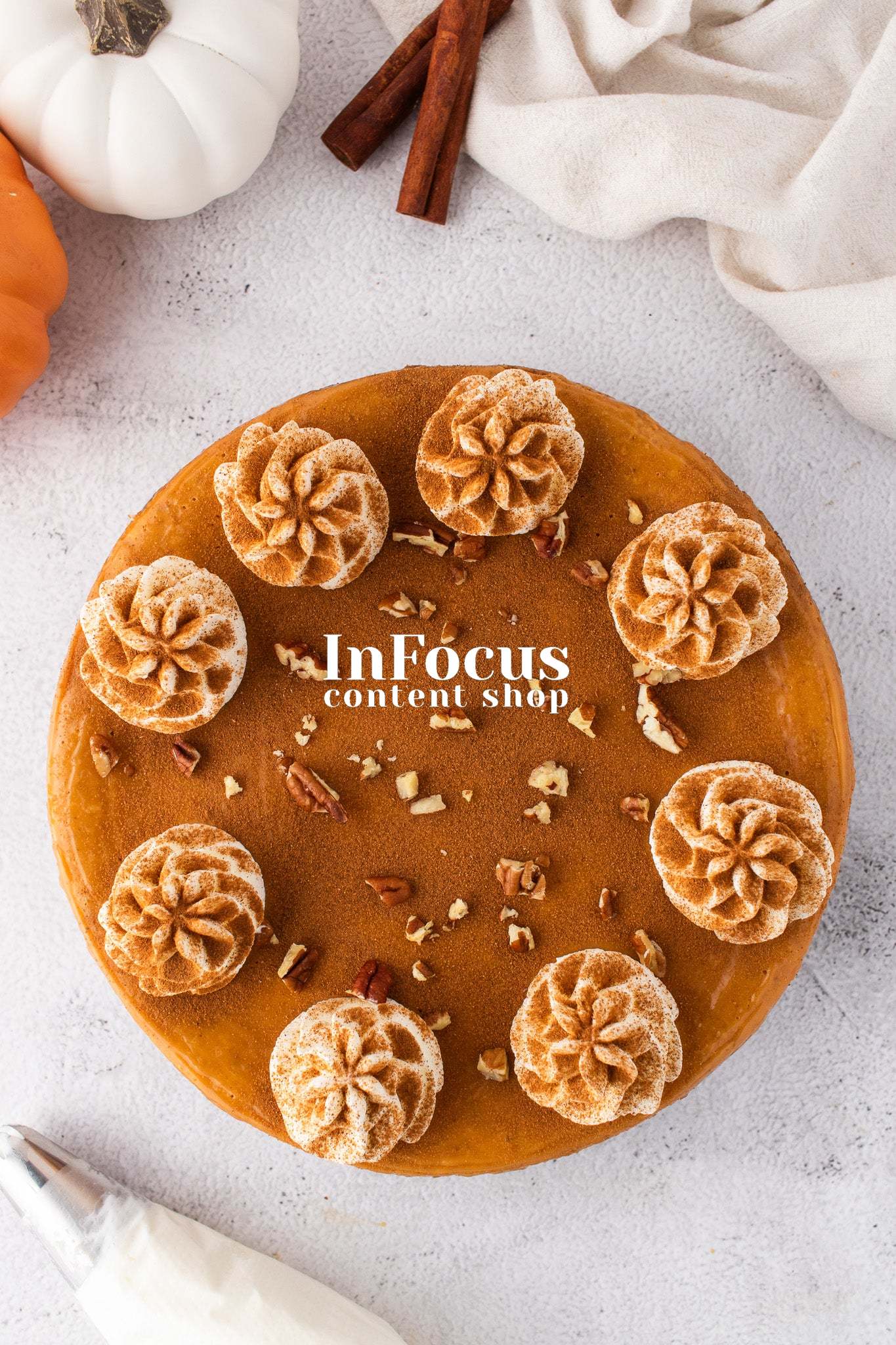 Pumpkin Cheesecake- Exclusive