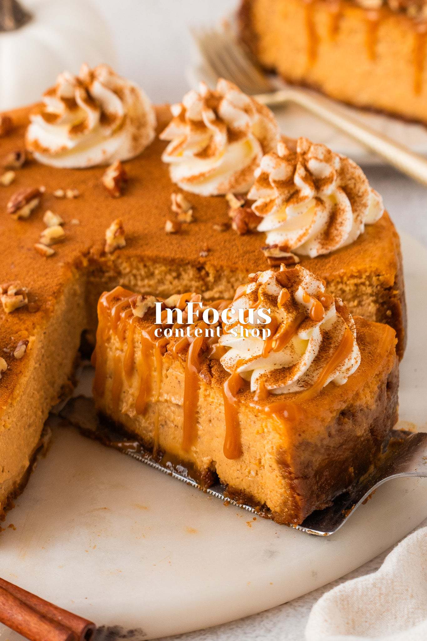 Pumpkin Cheesecake- Exclusive
