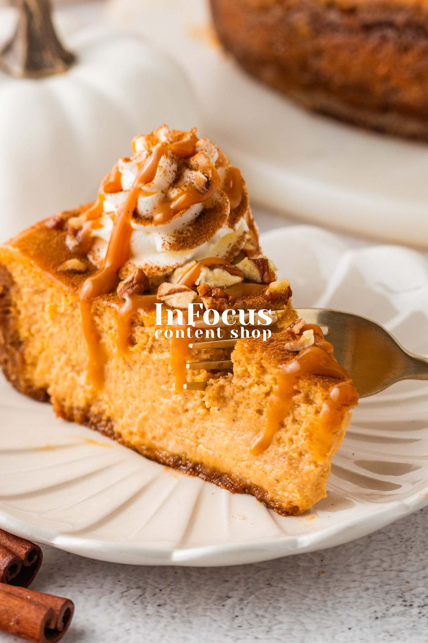 Pumpkin Cheesecake- Exclusive