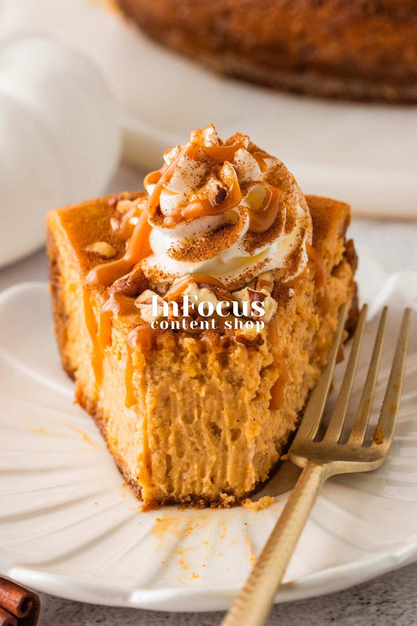 Pumpkin Cheesecake- Exclusive
