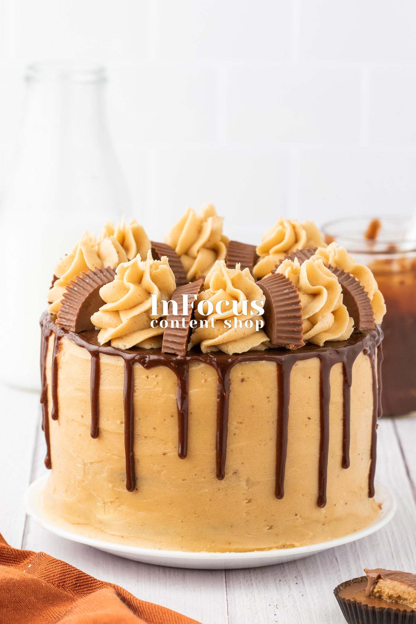 Chocolate Peanut Butter Layer Cake- Semi-Exclusive Set 2