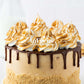S'mores Cake- Semi-Exclusive Set 2