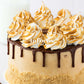 S'mores Cake- Semi-Exclusive Set 2