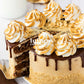 S'mores Cake- Semi-Exclusive Set 2