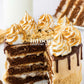 S'mores Cake- Semi-Exclusive Set 2