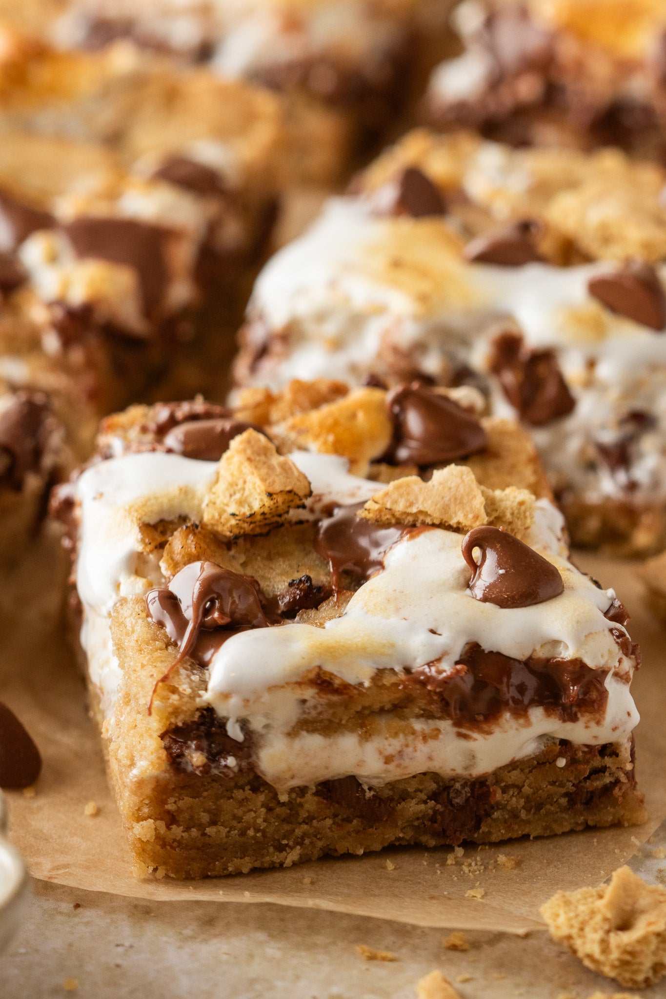 S'mores Cookie Bars- Exclusive