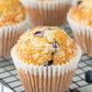 Blueberry Muffins- Exclusive