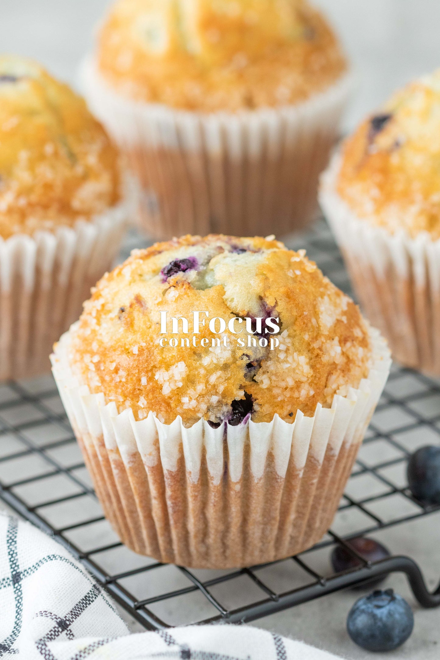 Blueberry Muffins- Exclusive