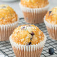 Blueberry Muffins- Exclusive