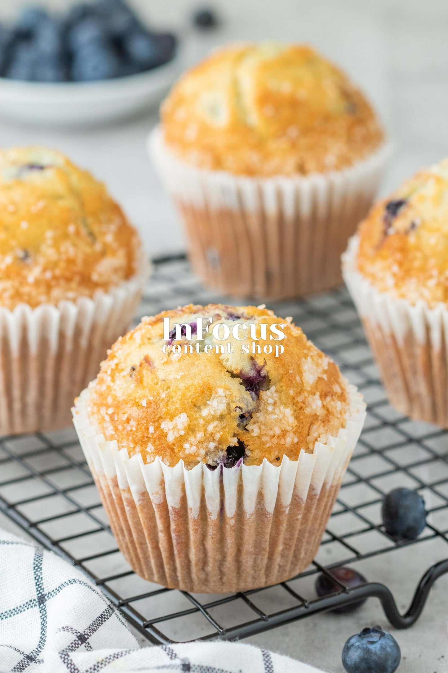 Blueberry Muffins- Exclusive