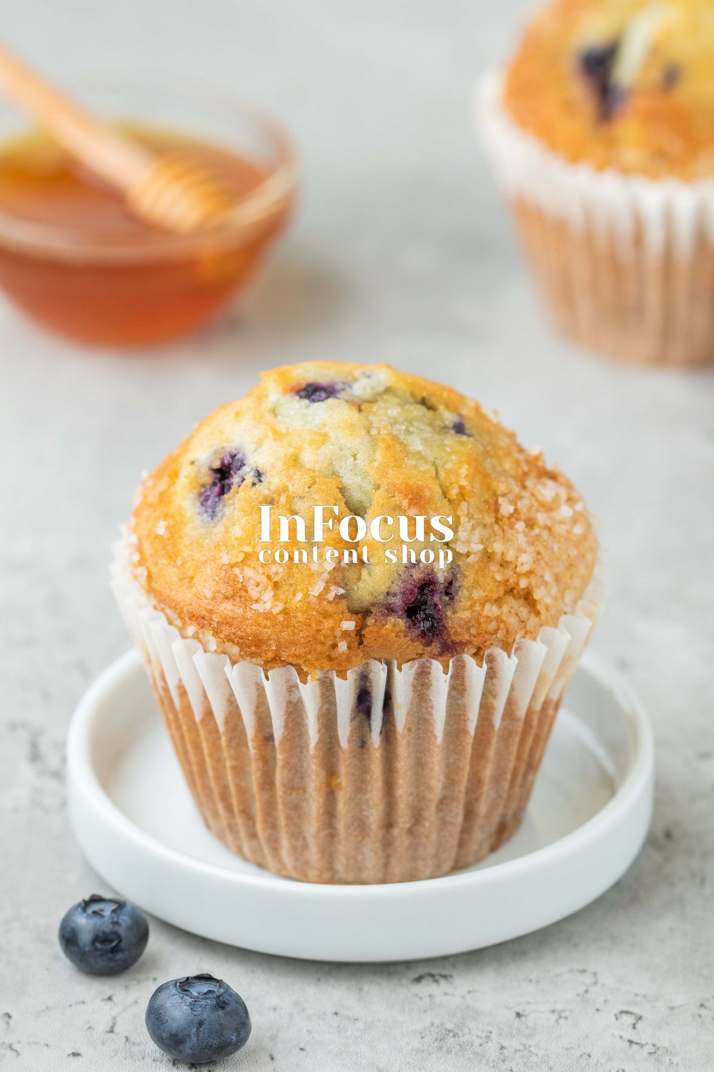 Blueberry Muffins- Exclusive