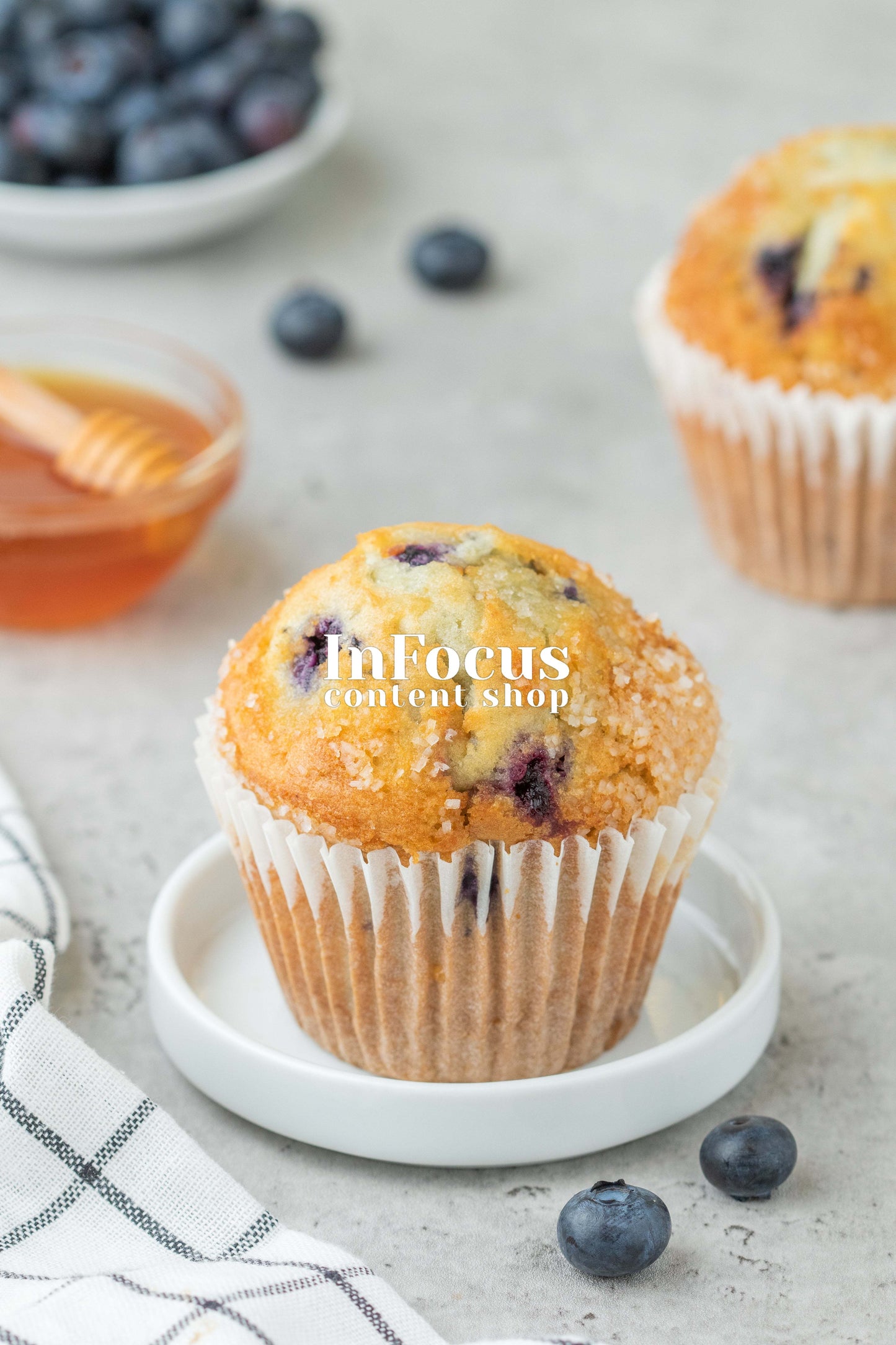 Blueberry Muffins- Exclusive