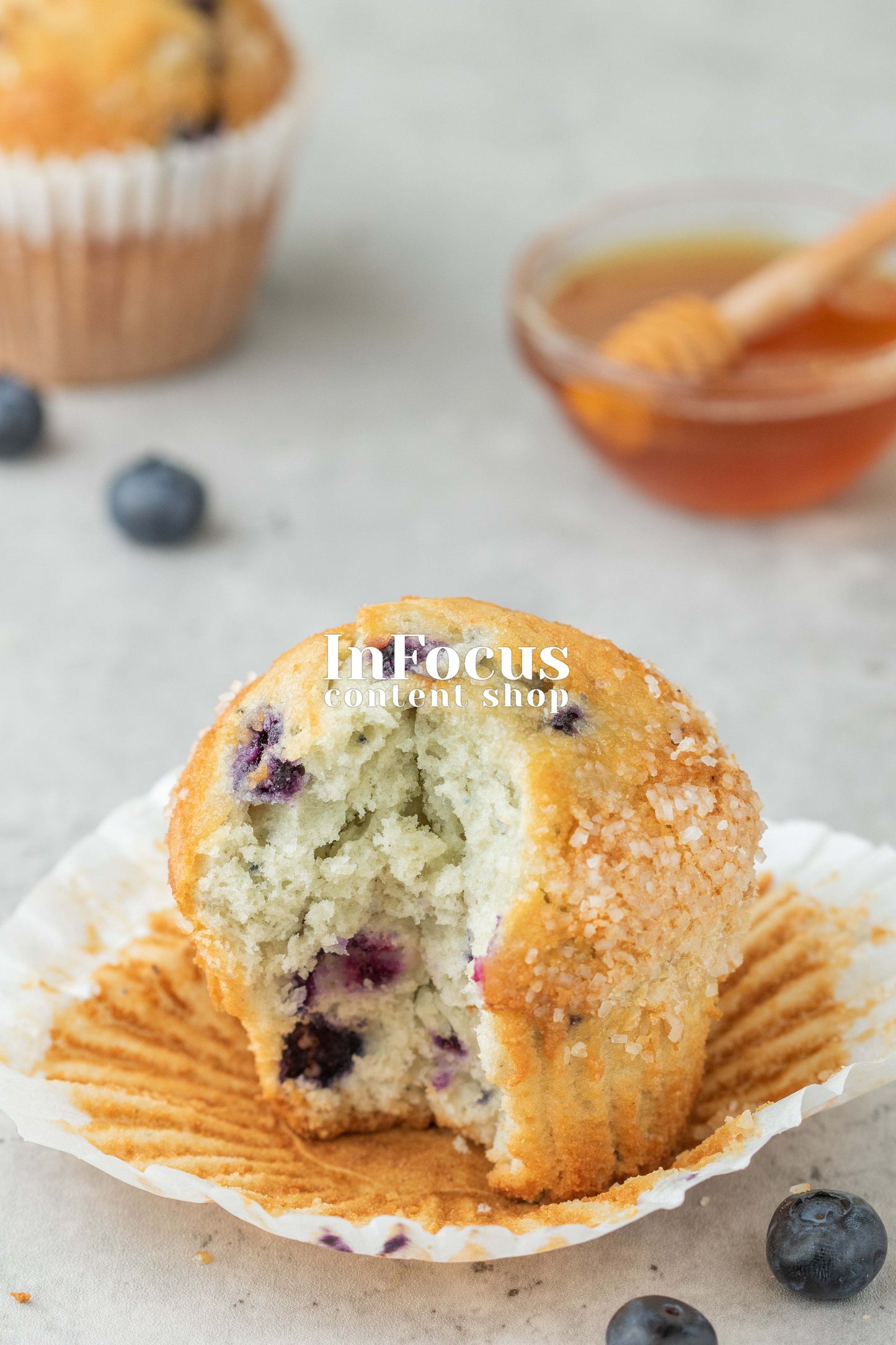 Blueberry Muffins- Exclusive