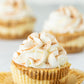 Pumpkin Cheesecake- Exclusive