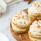 Pumpkin Cheesecake- Exclusive