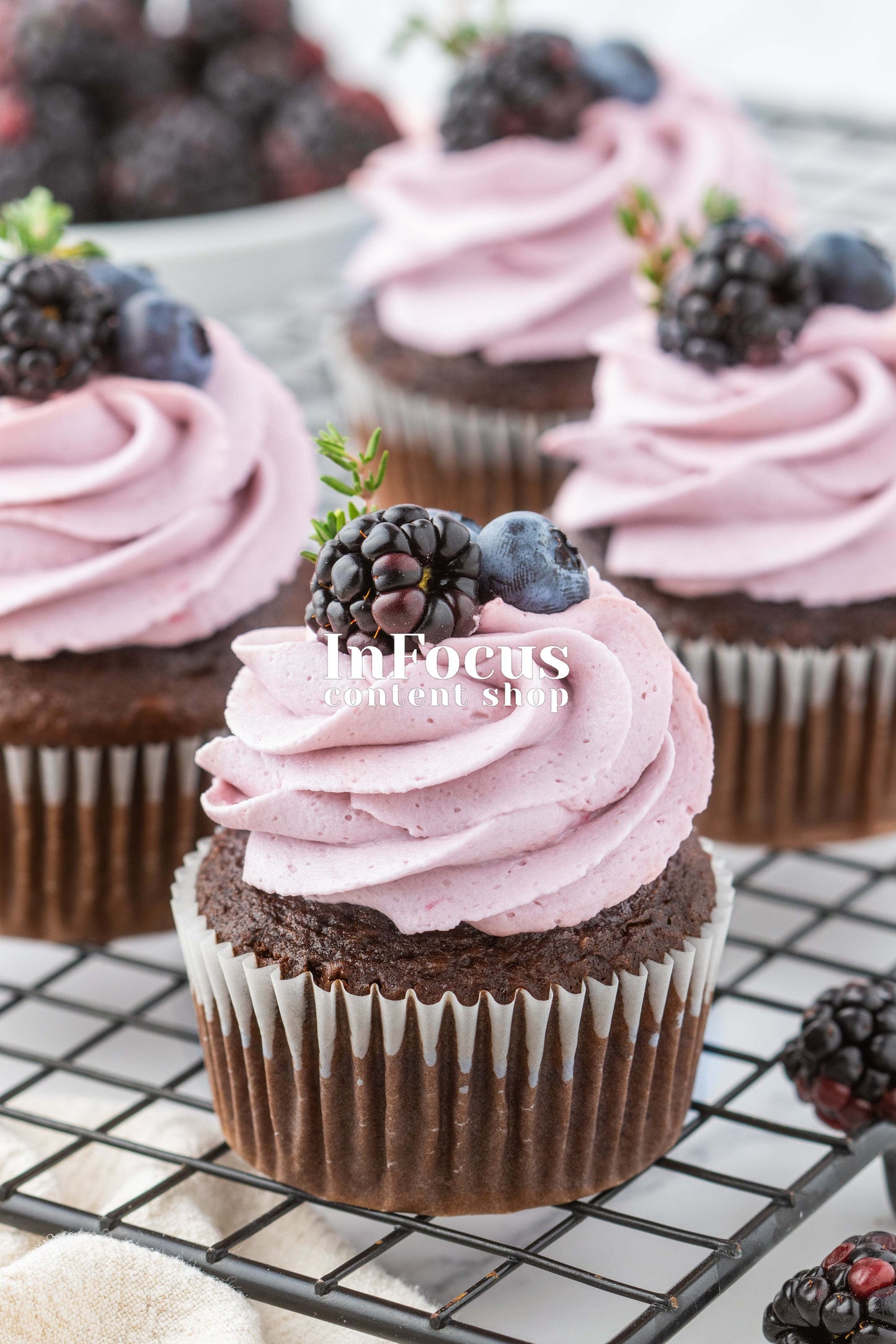 Blackberry Cupcakes- Semi-Exclusive Set 1