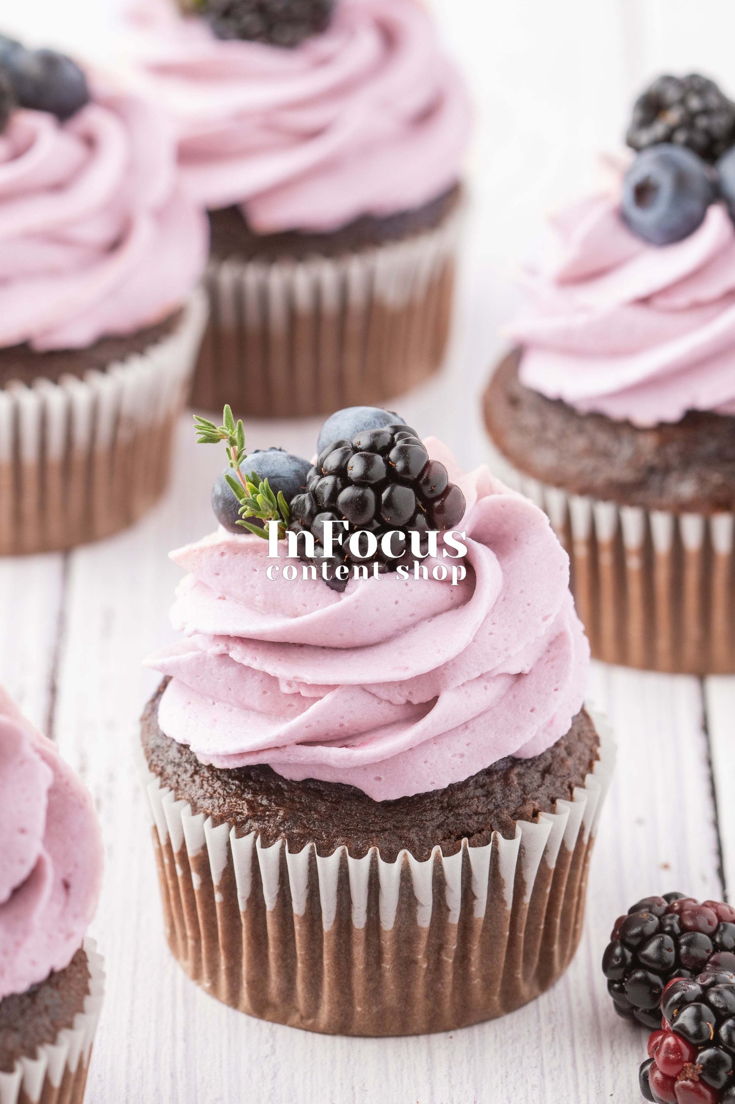 Blackberry Cupcakes- Semi-Exclusive Set 2