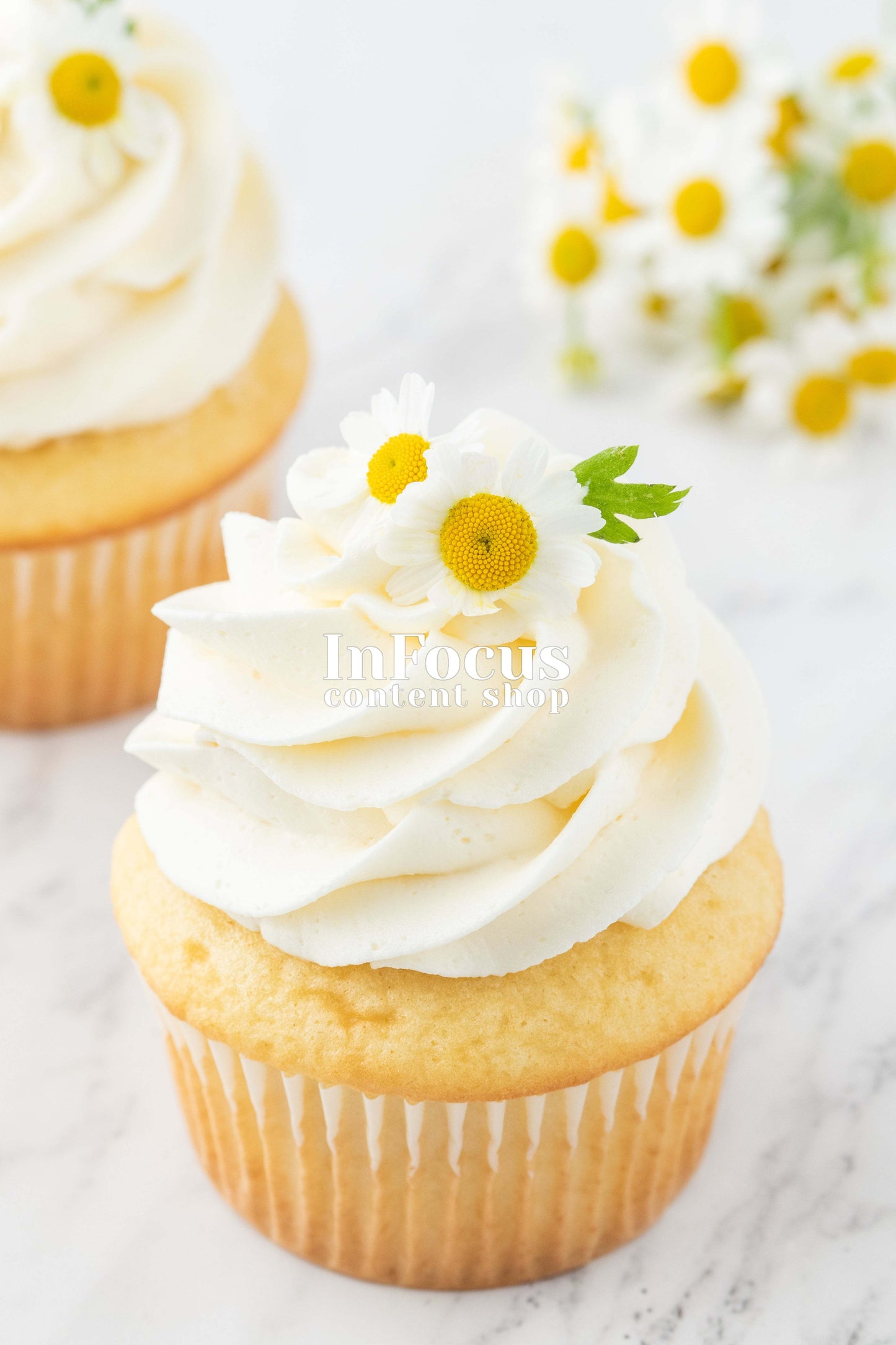 Chamomile And Honey Cupcakes- Semi-Exclusive Set 1