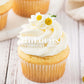Chamomile And Honey Cupcakes- Semi-Exclusive Set 2/2