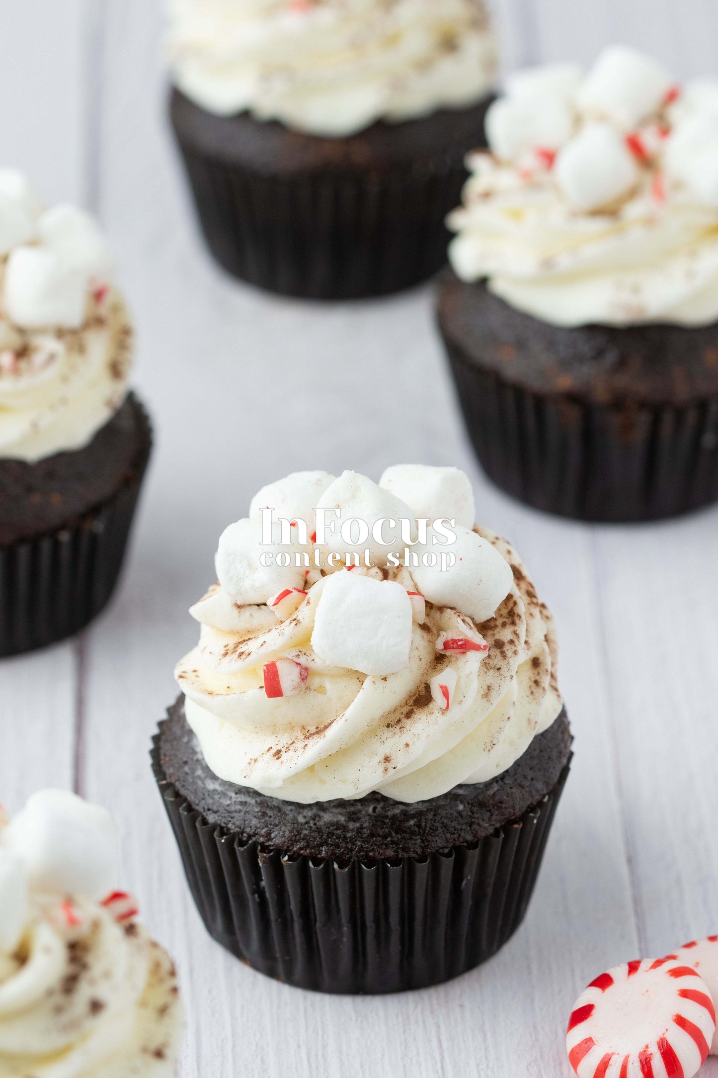 Hot Chocolate Cupcakes- Exclusive