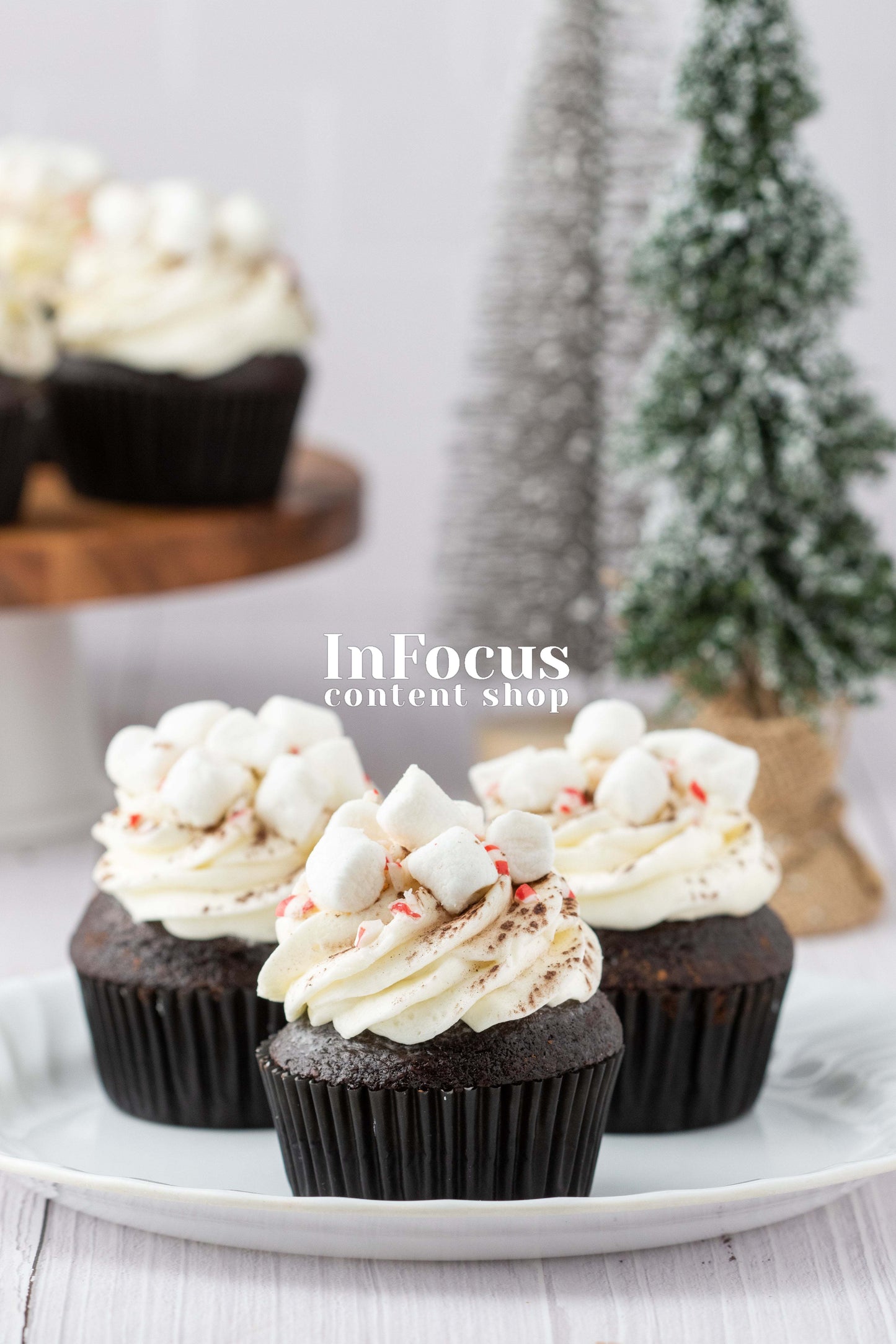 Hot Chocolate Cupcakes- Exclusive