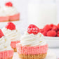 Mini Raspberry Cheesecakes- Semi-Exclusive Set 1