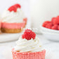 Mini Raspberry Cheesecakes- Semi-Exclusive Set 1