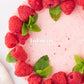 Raspberry Vanilla Cake- Semi-Exclusive Set 1