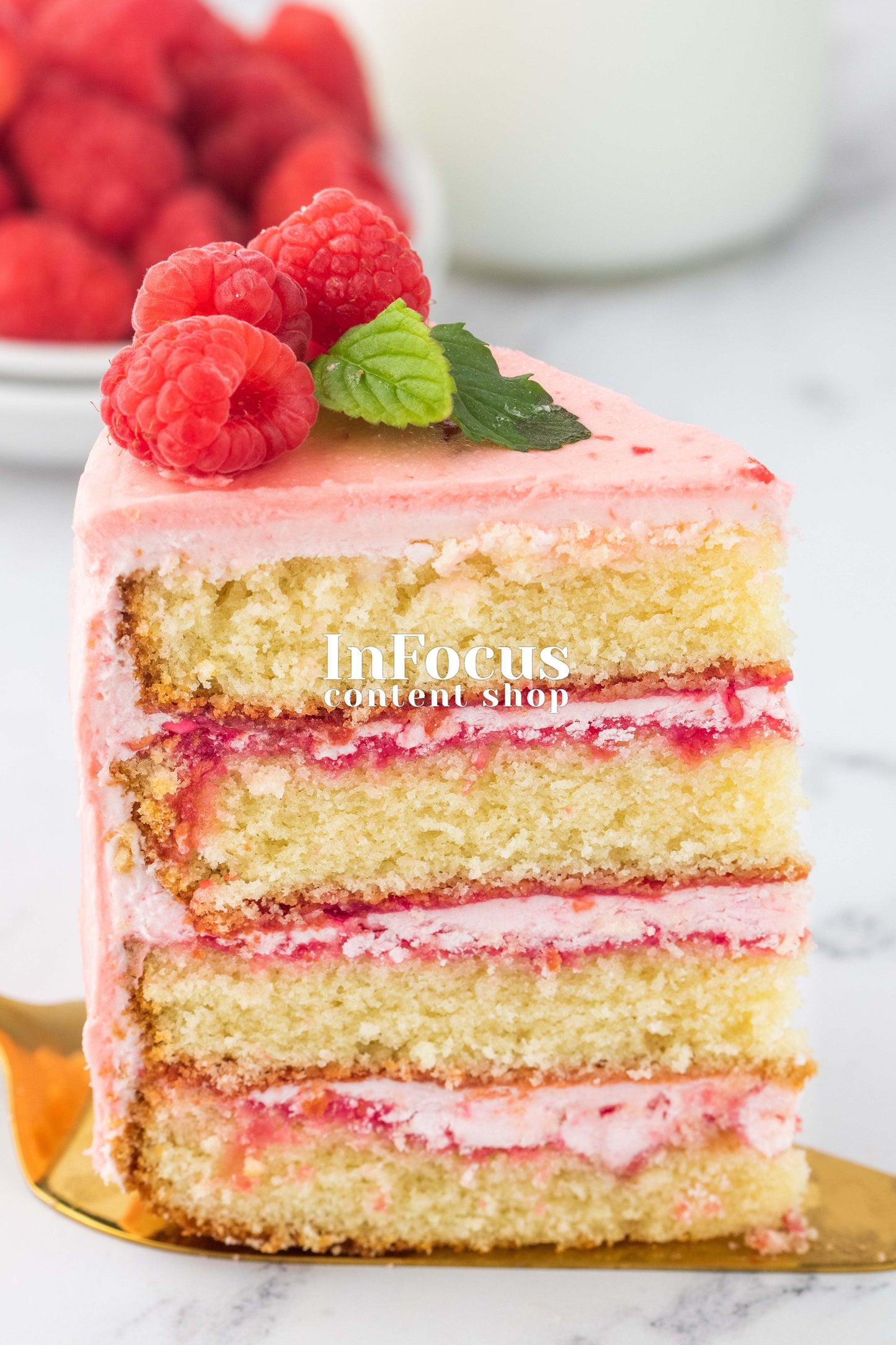 Raspberry Vanilla Cake- Semi-Exclusive Set 1