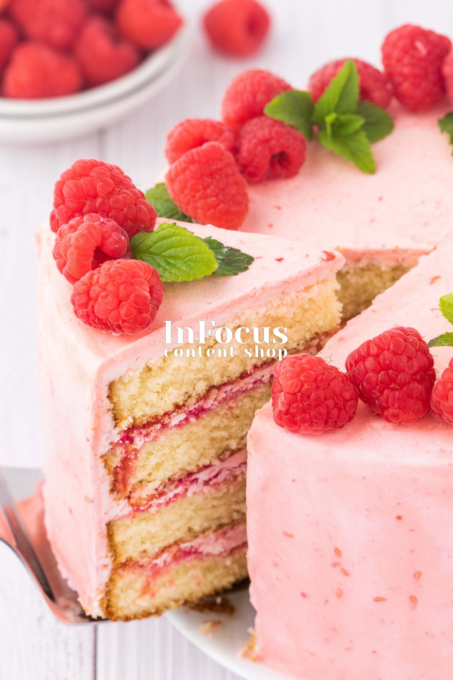 Raspberry Vanilla Cake- Semi-Exclusive Set 2