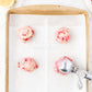 Raspberry Lemonade Cookies- Semi-Exclusive Set 2