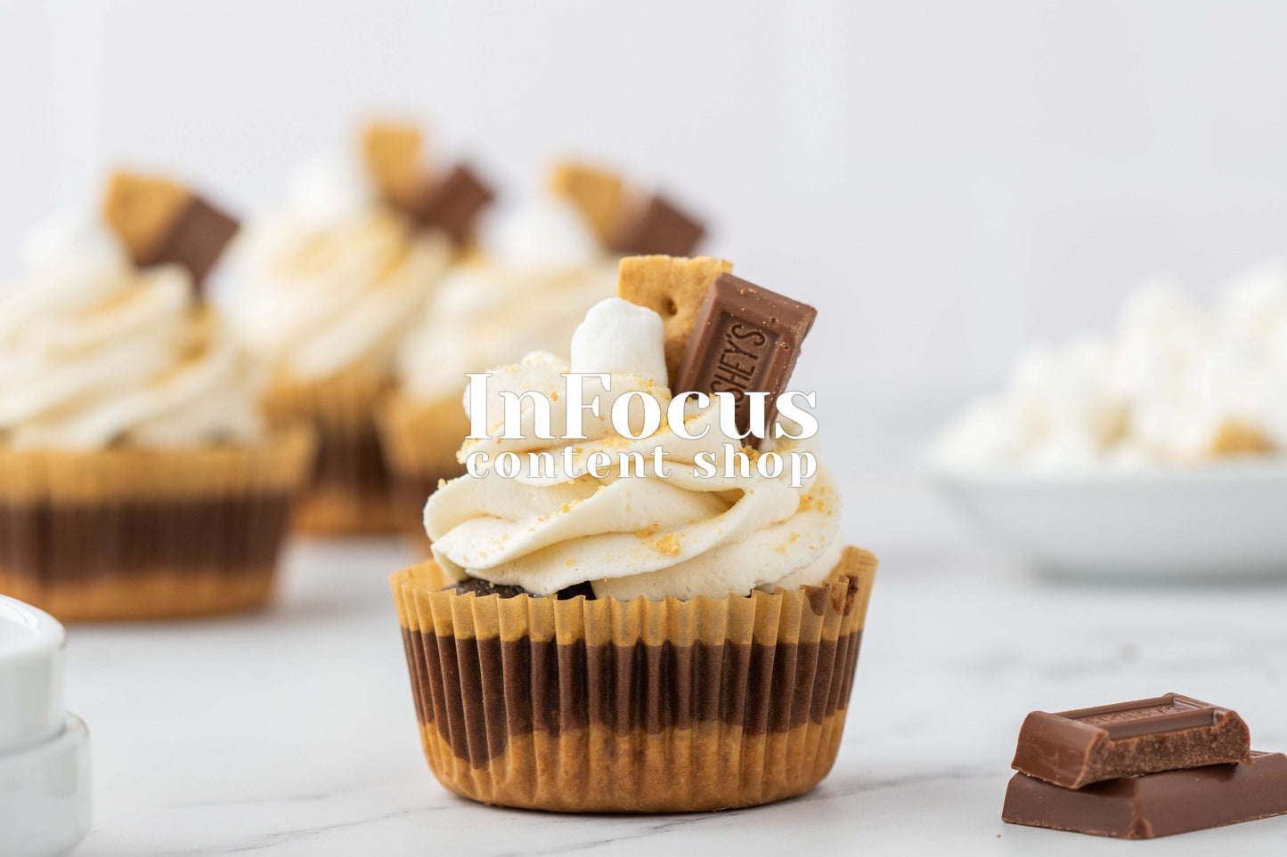 S'mores Cupcakes- Semi-Exclusive Set 1